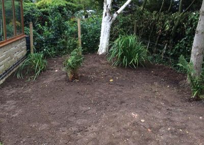 tree-removed-planting-bed