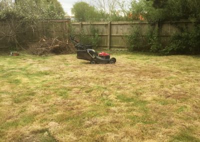 lawn-maintenance-after